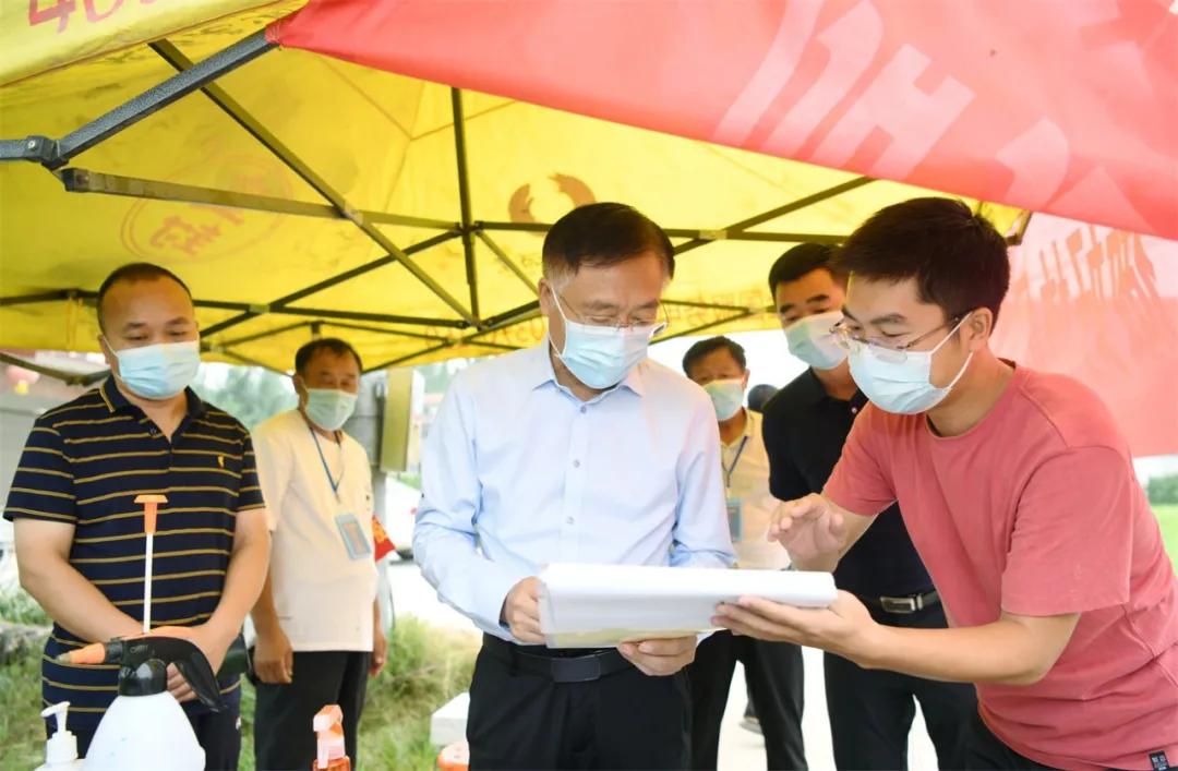 全球疫情最新进展与影响深度分析，最新役情报道综述