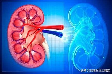 冠心病的最新论述观点探讨与探讨其最新进展