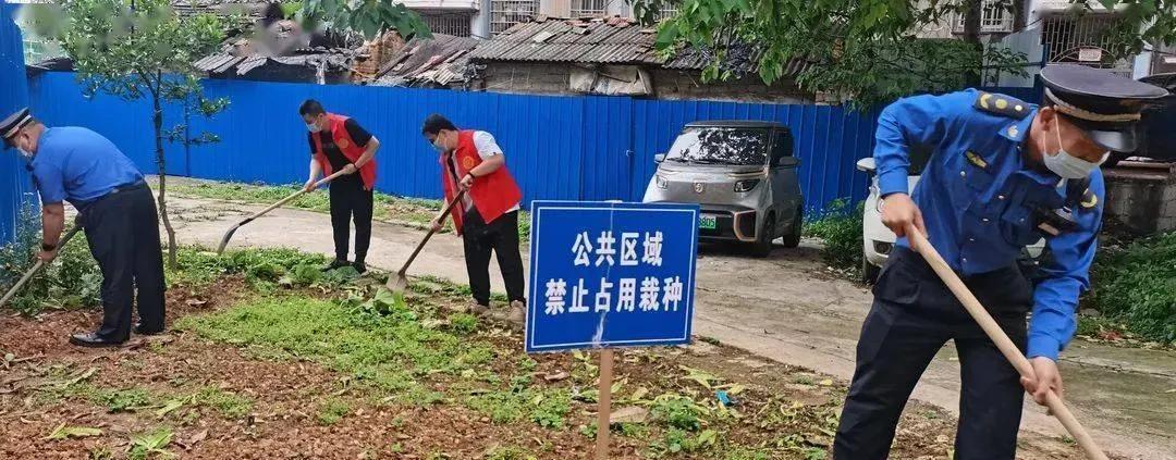 最新禁卖农药措施，科技守护绿色生态的未来