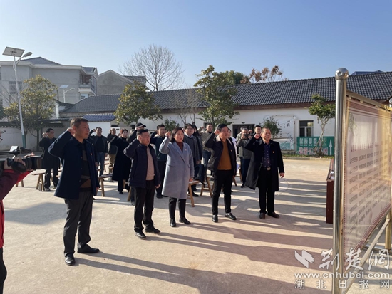 大冶茗山乡最新动态，土地变迁与成长足迹