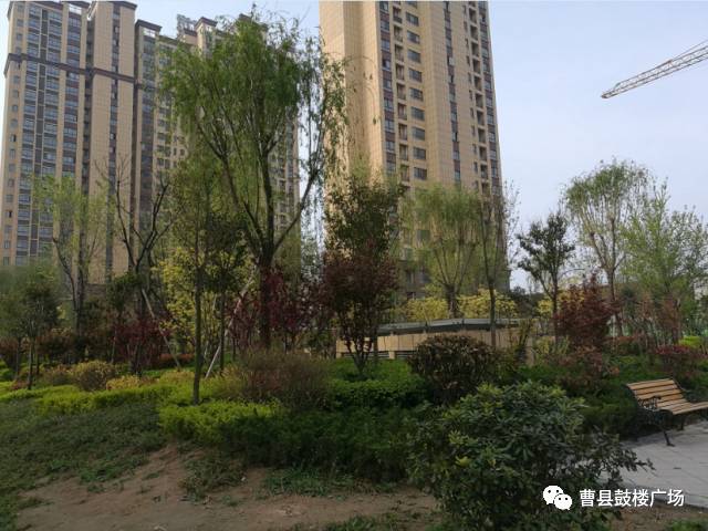 镜湖区棚改新地块，土地变迁见证梦想与勇气的交织