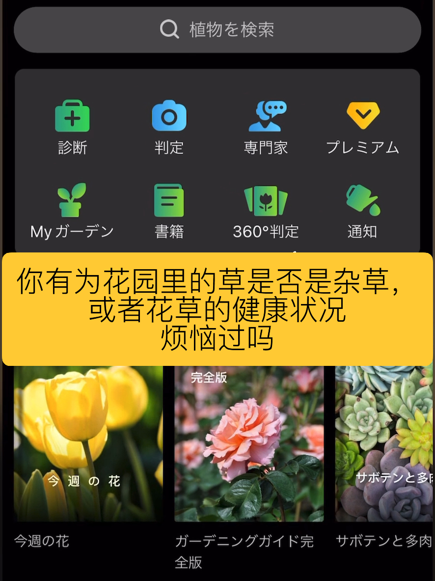 后花园app最新版，科技重塑生活，未来尽在掌握