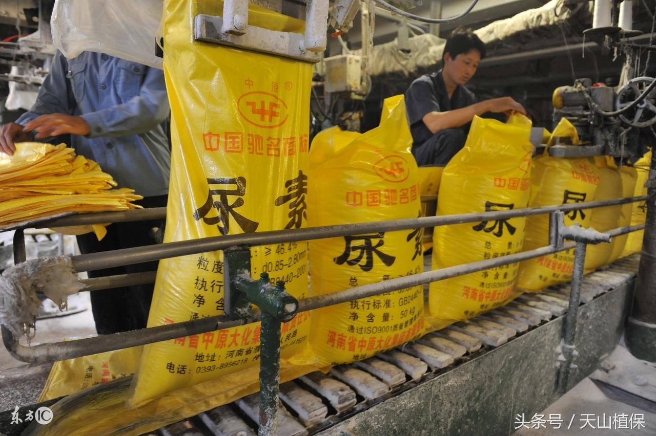 尿素最新价格行情，变化中的学习成就自信与成就感之源